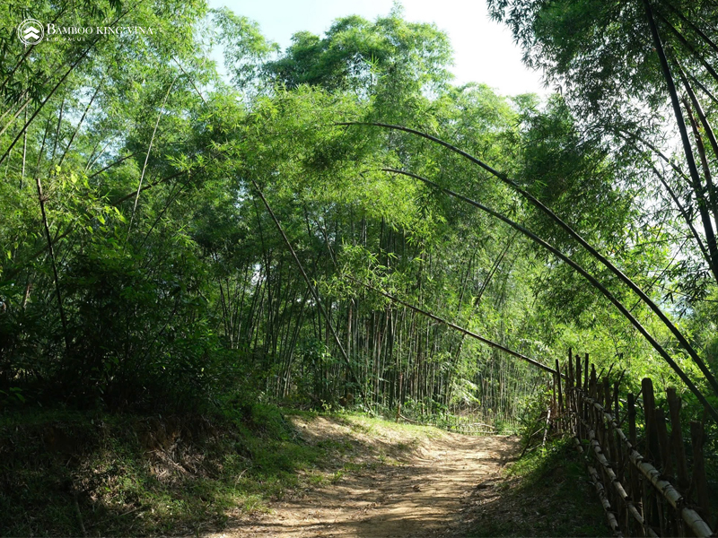 Vietnam's Leading Custom Bamboo Manufacturer: Bamboo King