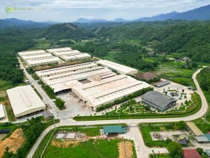Vietnam's Leading Custom Bamboo Manufacturer: Bamboo King